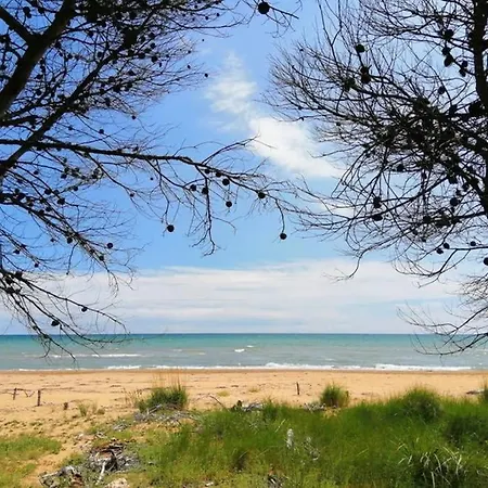 Vista Faro, Zona Faunistica E Mare *