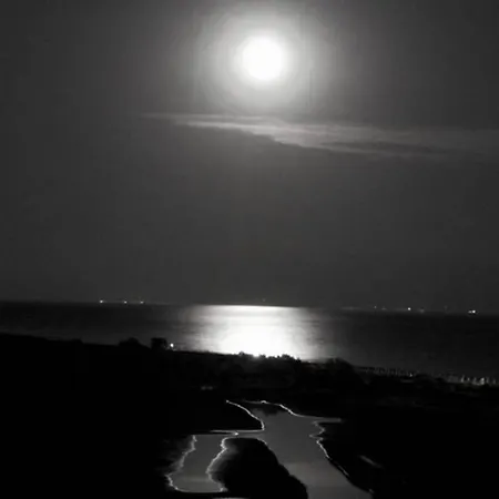 Vista Faro, Zona Faunistica E Mare