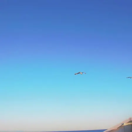Апартаменты Vista Faro, Zona Faunistica E Mare