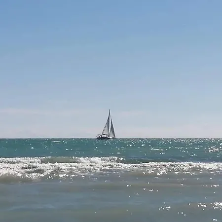 Апартаменты Vista Faro, Zona Faunistica E Mare *