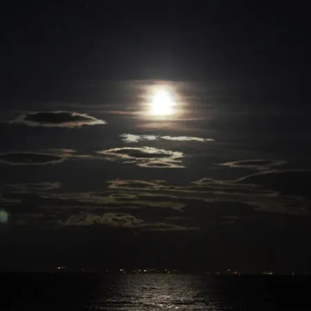 Vista Faro, Zona Faunistica E Mare